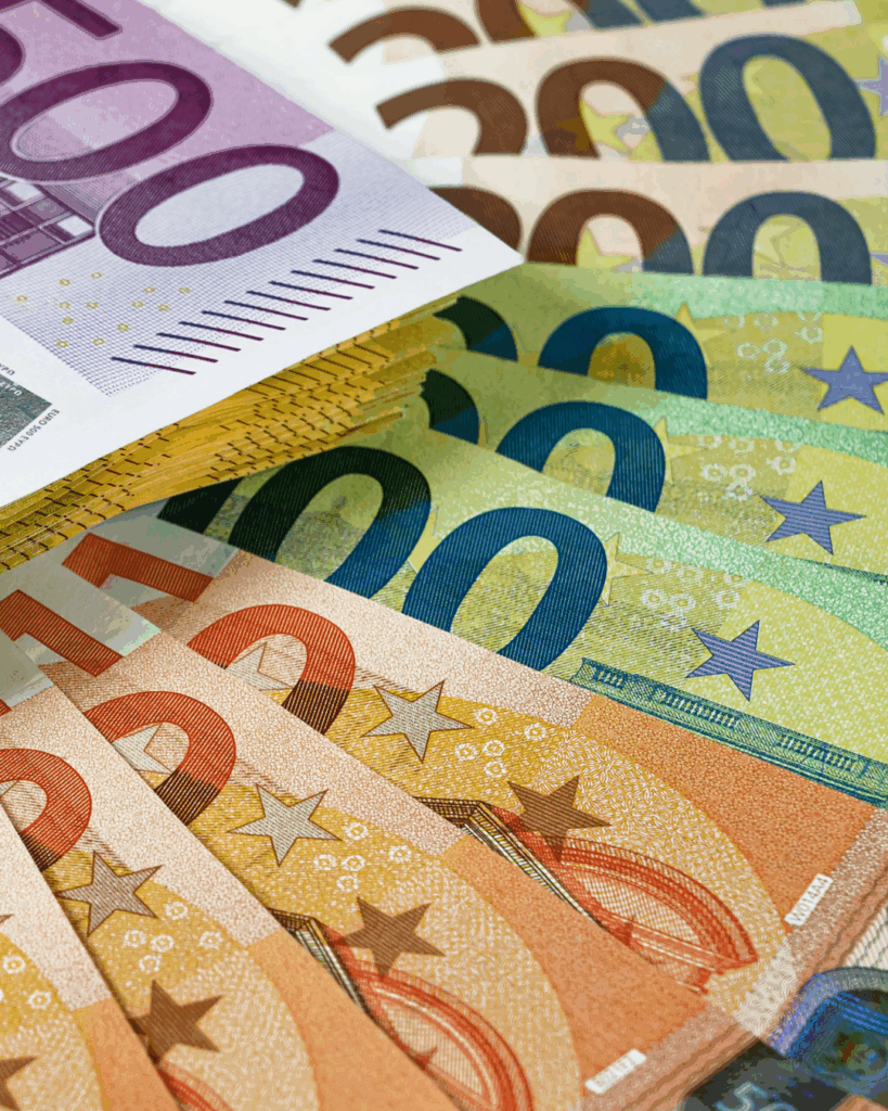 Haushalt Rastatt AfD