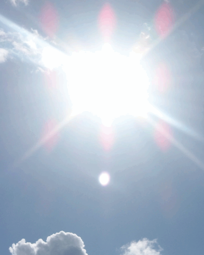 Sonnensegel Rastatt AfD